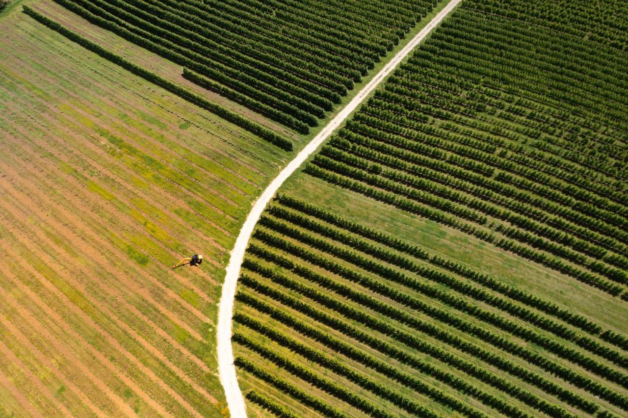 Agriturismo S.Angelo Villa Foiano Della Chiana Esterno foto