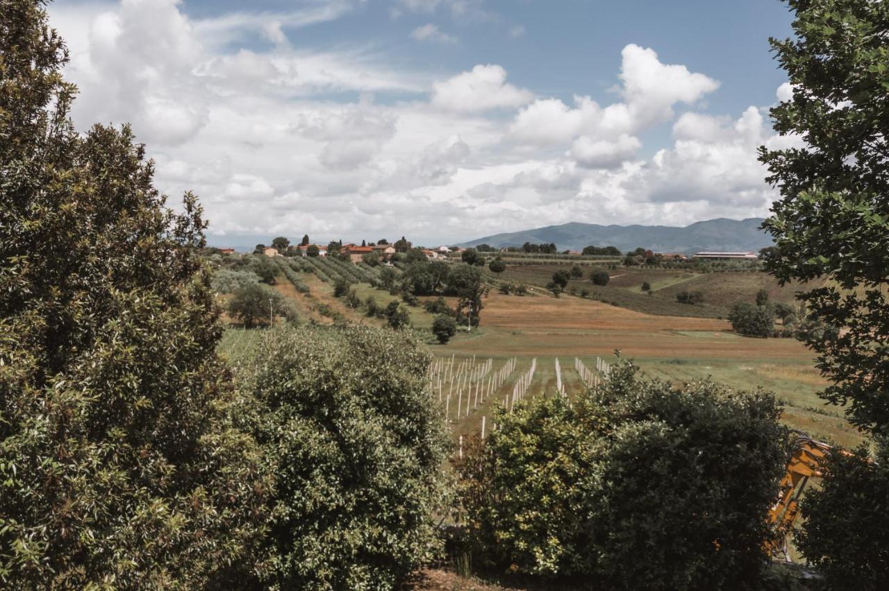Agriturismo S.Angelo Villa Foiano Della Chiana Esterno foto