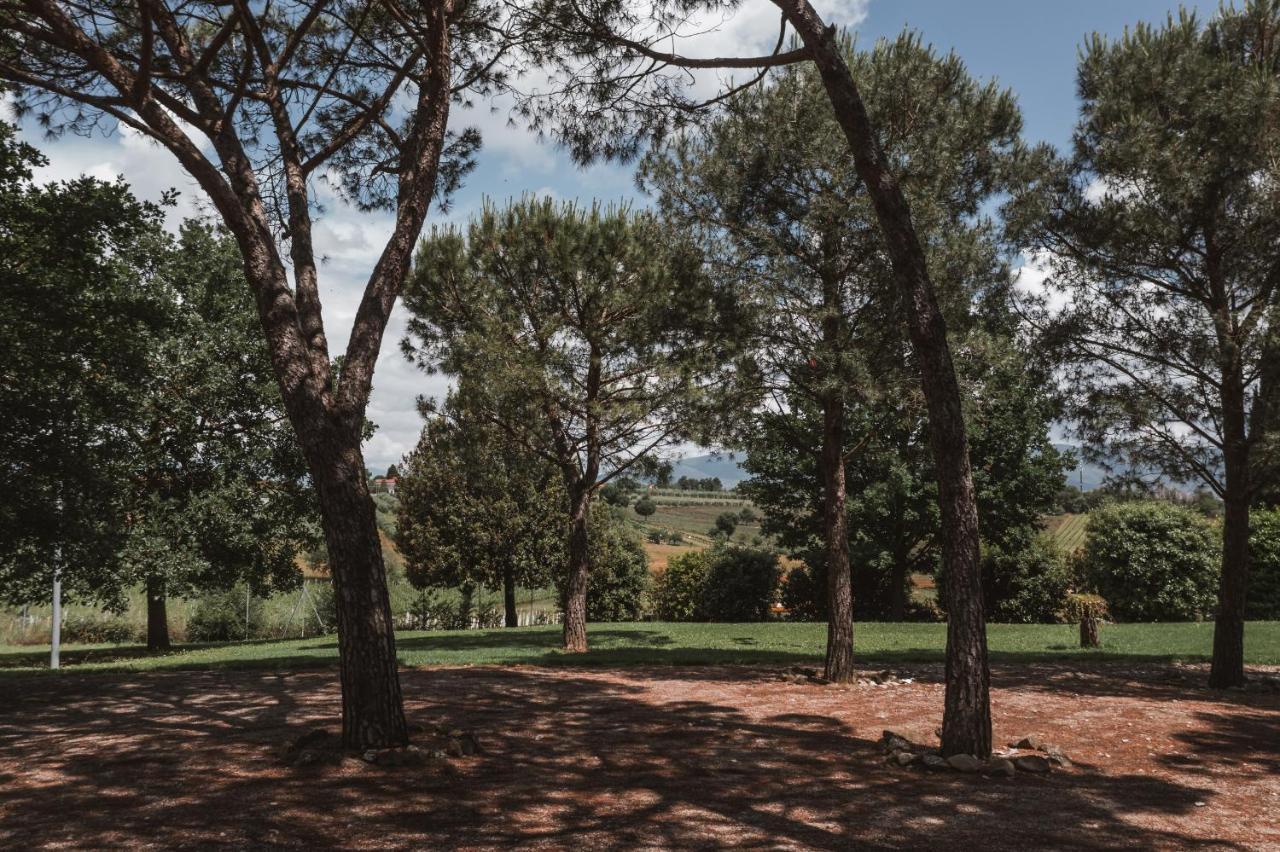 Agriturismo S.Angelo Villa Foiano Della Chiana Esterno foto